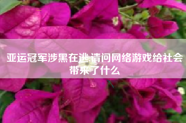 亚运冠军涉黑在逃,请问网络游戏给社会带来了什么