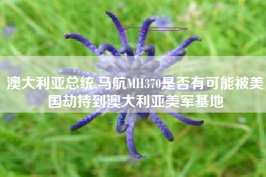 澳大利亚总统,马航MH370是否有可能被美国劫持到澳大利亚美军基地
