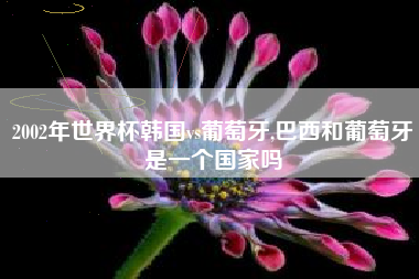 2002年世界杯韩国vs葡萄牙,巴西和葡萄牙是一个国家吗