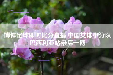 博体足球即时比分直播,中国女排小分队巴西利亚站最后一博
