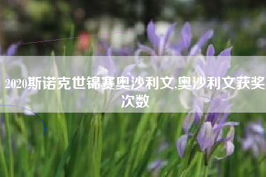 2020斯诺克世锦赛奥沙利文,奥沙利文获奖次数