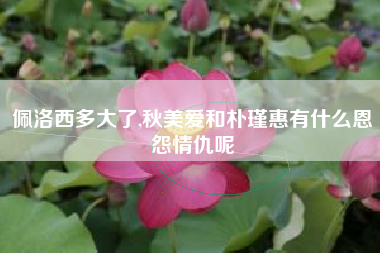 佩洛西多大了,秋美爱和朴瑾惠有什么恩怨情仇呢