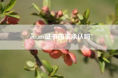 ntc,ntc证书国家承认吗