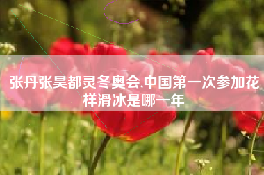 张丹张昊都灵冬奥会,中国第一次参加花样滑冰是哪一年
