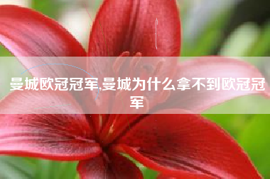 曼城欧冠冠军,曼城为什么拿不到欧冠冠军