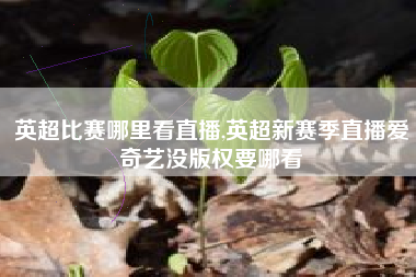 英超比赛哪里看直播,英超新赛季直播爱奇艺没版权要哪看