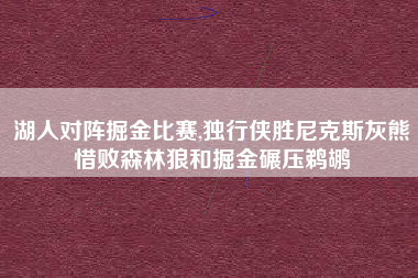 湖人对阵掘金比赛,独行侠胜尼克斯灰熊惜败森林狼和掘金碾压鹈鹕