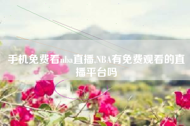 手机免费看nba直播,NBA有免费观看的直播平台吗