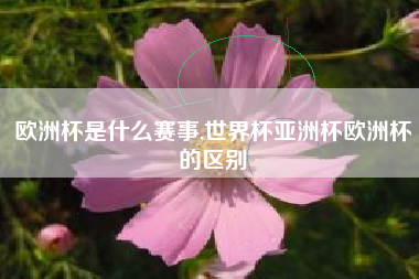 欧洲杯是什么赛事,世界杯亚洲杯欧洲杯的区别