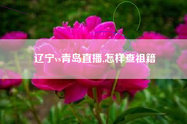 辽宁vs青岛直播,怎样查祖籍