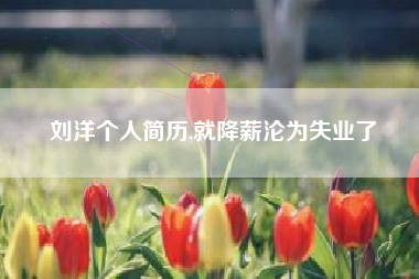 刘洋个人简历,就降薪沦为失业了