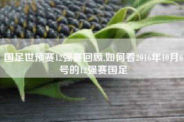 国足世预赛12强赛回顾,如何看2016年10月6号的12强赛国足