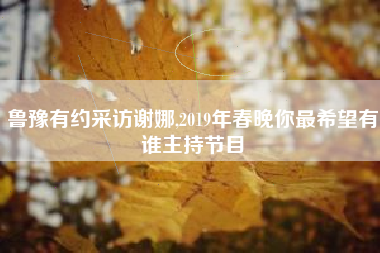 鲁豫有约采访谢娜,2019年春晚你最希望有谁主持节目
