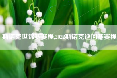 斯诺克世锦赛赛程,2022斯诺克巡回赛赛程