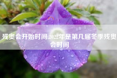 残奥会开始时间,2022年是第几届冬季残奥会时间