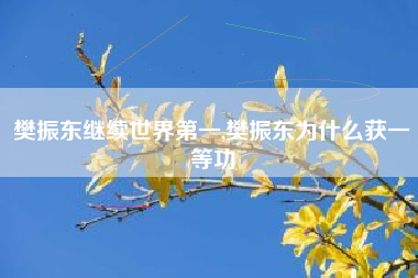 樊振东继续世界第一,樊振东为什么获一等功