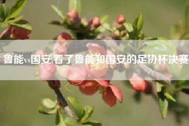 鲁能vs国安,看了鲁能和国安的足协杯决赛