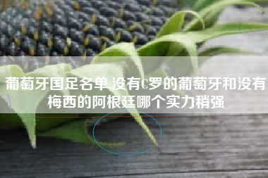 葡萄牙国足名单,没有C罗的葡萄牙和没有梅西的阿根廷哪个实力稍强