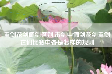 重剑花剑佩剑区别,击剑中佩剑花剑重剑它们比赛中各是怎样的规则