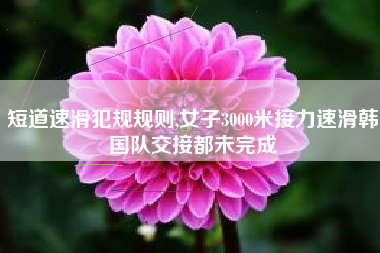 短道速滑犯规规则,女子3000米接力速滑韩国队交接都未完成