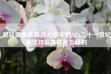 昆廷理查德森,你心目中的NBA二十一世纪最佳球队阵容是怎样的
