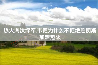 热火淘汰绿军,韦德为什么不拒绝詹姆斯加盟热火