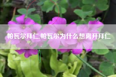 帕瓦尔拜仁,帕瓦尔为什么想离开拜仁