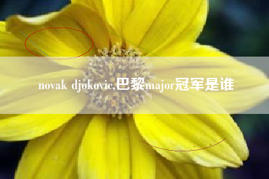 novak djokovic,巴黎major冠军是谁
