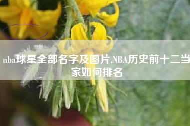 nba球星全部名字及图片,NBA历史前十二当家如何排名