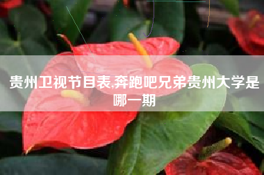贵州卫视节目表,奔跑吧兄弟贵州大学是哪一期