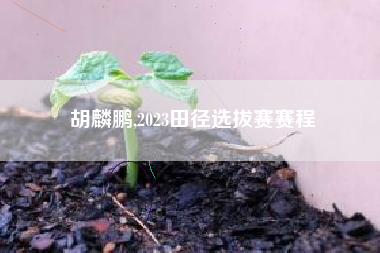 胡麟鹏,2023田径选拔赛赛程