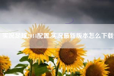 实况足球2014配置,实况最新版本怎么下载