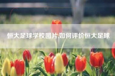 恒大足球学校图片,如何评价恒大足球