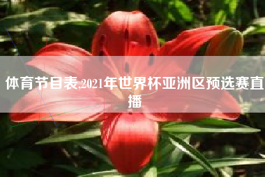 体育节目表,2021年世界杯亚洲区预选赛直播