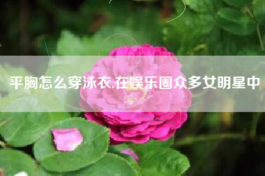 平胸怎么穿泳衣,在娱乐圈众多女明星中