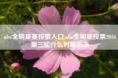 nba全明星赛投票入口,nba全明星投票2016第三轮什么时候出来