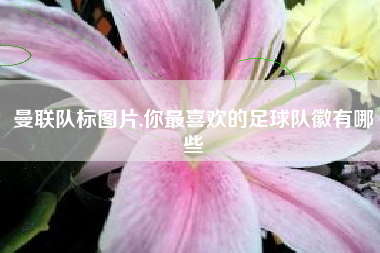 曼联队标图片,你最喜欢的足球队徽有哪些