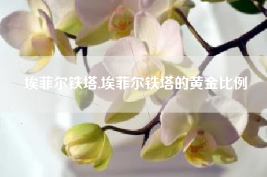埃菲尔铁塔,埃菲尔铁塔的黄金比例