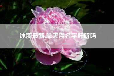 冰漪最新,詹天翔名字好听吗