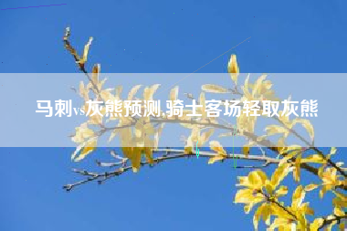 马刺vs灰熊预测,骑士客场轻取灰熊