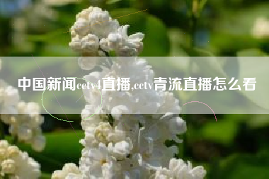 中国新闻cctv4直播,cctv青流直播怎么看