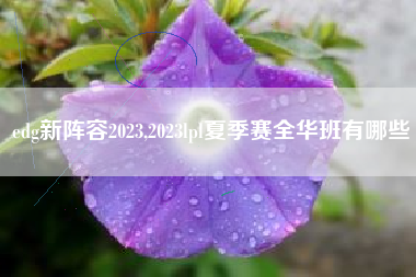 edg新阵容2023,2023lpl夏季赛全华班有哪些