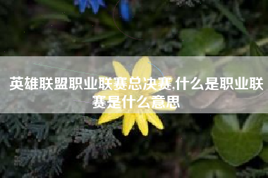 英雄联盟职业联赛总决赛,什么是职业联赛是什么意思