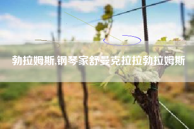 勃拉姆斯,钢琴家舒曼克拉拉勃拉姆斯