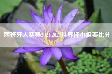 西班牙人赛程2021,2021世界杯小组赛比分
