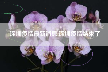 深圳疫情最新消息,深圳疫情结束了