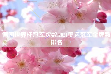 德国世界杯冠军次数,2021奥运冠军金牌数排名