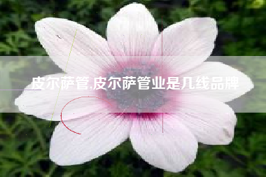 皮尔萨管,皮尔萨管业是几线品牌