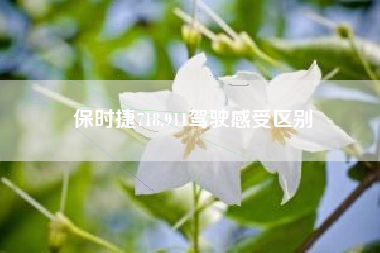 保时捷718,911驾驶感受区别