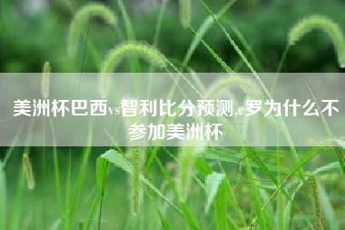 美洲杯巴西vs智利比分预测,c罗为什么不参加美洲杯
